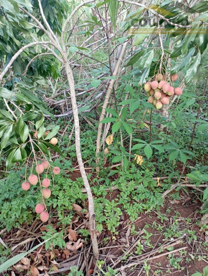 WhatsApp Image 2025-03-27 at 11.09.40.jpeg